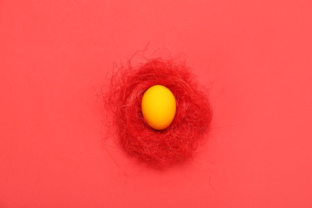 Nest with painted Easter egg on red backgroundの写真素材