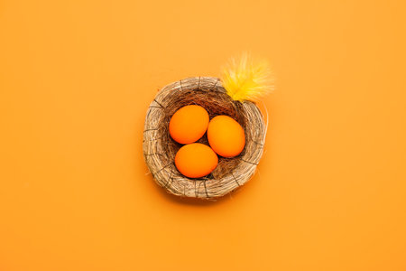 Nest with painted Easter eggs and feather on orange backgroundの写真素材
