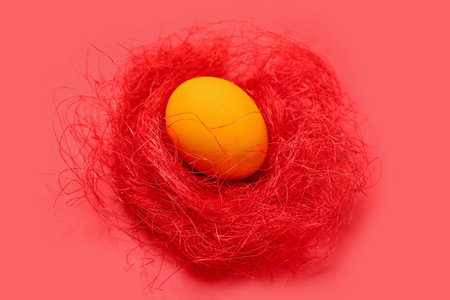 Nest with painted Easter egg on red backgroundの写真素材