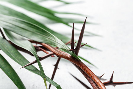 Crown of thorns with palm leaf on white background, closeup. good friday concept