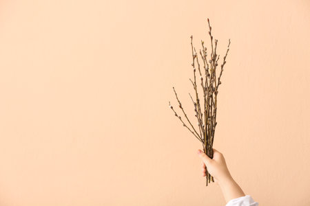 Woman holding willow branches on brown backgroundの写真素材