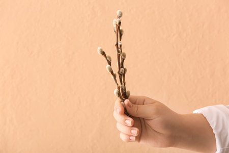 Woman holding willow branches on brown backgroundの写真素材