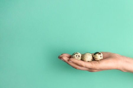 Woman holding quail eggs on turquoise backgroundの写真素材