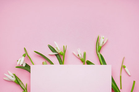 Beautiful snowdrops and blank greeting card on pink backgroundの写真素材