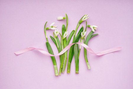Beautiful snowdrops and ribbon on lilac backgroundの写真素材