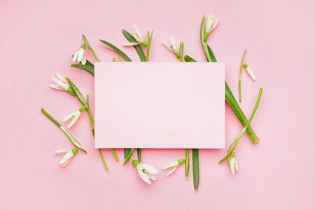 Beautiful snowdrops and blank greeting card on pink backgroundの写真素材