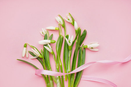 Bouquet of beautiful snowdrops with ribbon on pink backgroundの写真素材