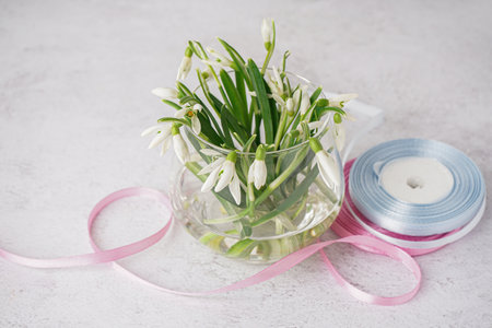 Vase with beautiful snowdrops and ribbons on gray grunge background