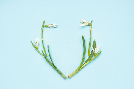 Frame made of beautiful snowdrops on blue background