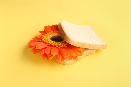 Slices of bread with beautiful gerbera flower on yellow backgroundの写真素材