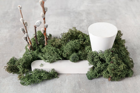 Composition with podiums, moss and willow branches on grunge backgroundの写真素材