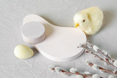 Composition with podiums, Easter egg, toy chick and willow branches on light background