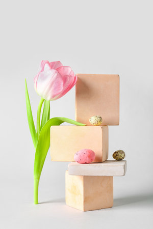 Composition with podiums, tulip flower and Easter eggs on white backgroundの写真素材