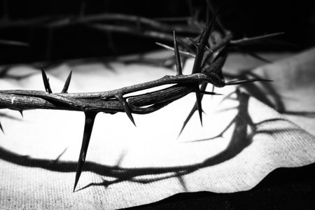 Crown of thorns with cloth on dark background, closeupの写真素材