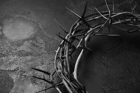 Crown of thorns on dark background, closeupの写真素材