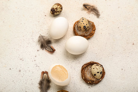 Composition with Easter eggs and feathers on white grunge background