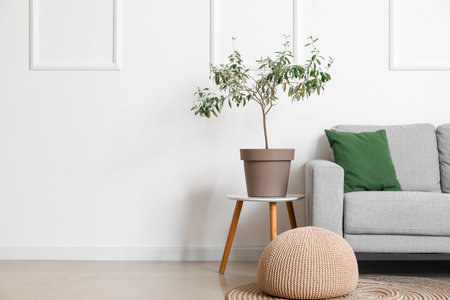 Interior of light living room with gray sofa, houseplant and poufの写真素材