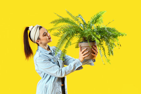 Young woman with green houseplant on yellow backgroundの写真素材