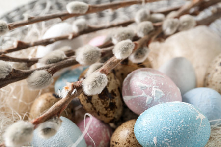 Bowl with Easter eggs and willow branches, closeupの写真素材