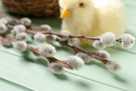Willow branches and toy chick on color wooden background, closeupの写真素材