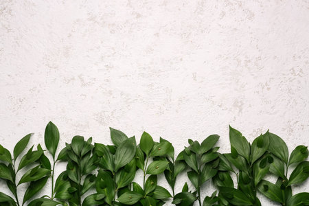 Composition with green plant branches on light background. hello spring