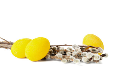 Easter eggs with willow branches on white backgroundの写真素材