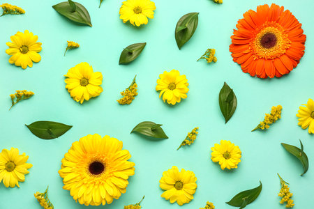 Composition with colorful flowers and plant leaves on color backgroundの写真素材