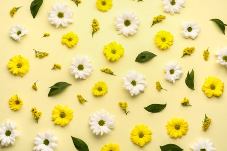 Composition with beautiful flowers and plant leaves on yellow backgroundの写真素材