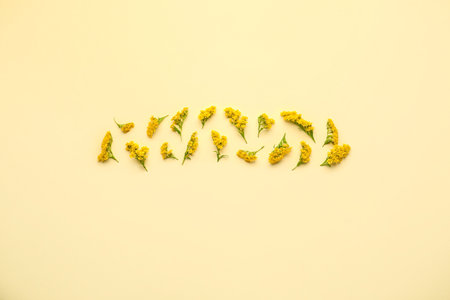 Composition with beautiful mimosa flowers on yellow backgroundの写真素材
