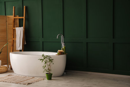Interior of bathroom with bathtub, houseplants and ladderの写真素材