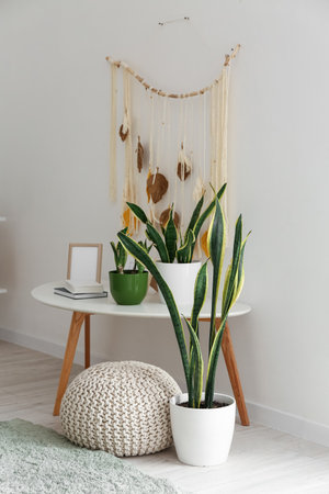 Table with green houseplants, frame, books and pouf near light wallの写真素材