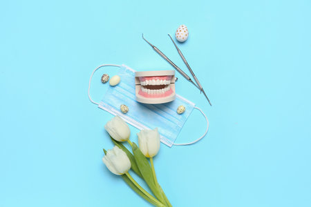 Jaw model with dental tools, medical mask. Easter eggs and tulips on blue background