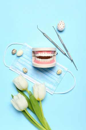 Jaw model with dental tools, medical mask. Easter eggs and tulips on blue background