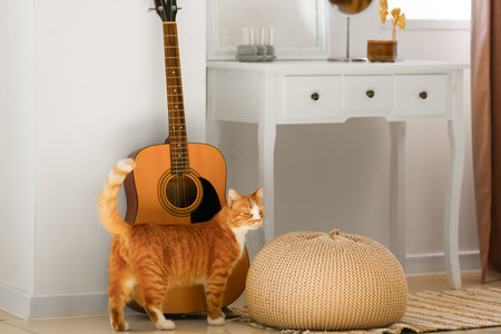 Cute red cat near guitar in living roomの写真素材