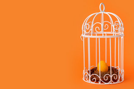 Bird cage with nest and Easter egg on orange backgroundの写真素材
