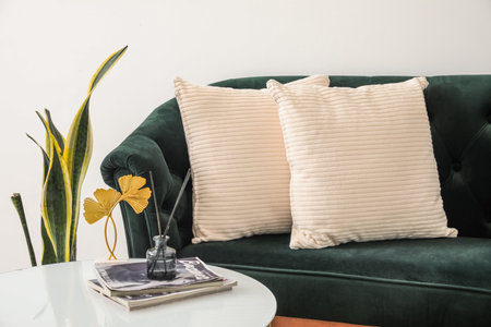 Green sofa with pillows in living room