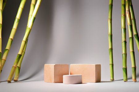 Green bamboo stems and plaster podiums on white backgroundの写真素材