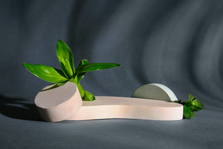 Green bamboo stems and plaster podiums on black background