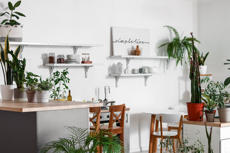 Interior of light kitchen with green houseplants and shelvesの写真素材