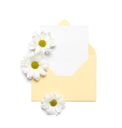 Envelope with blank card and chamomile flowers on light backgroundの写真素材