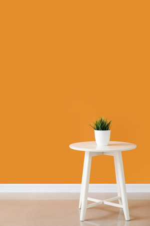 Green houseplant on table near color wall in roomの写真素材