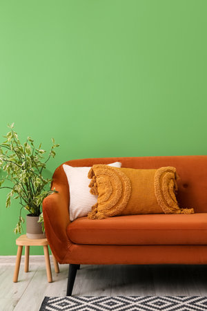 Brown sofa with cushions and houseplant near green wallの写真素材