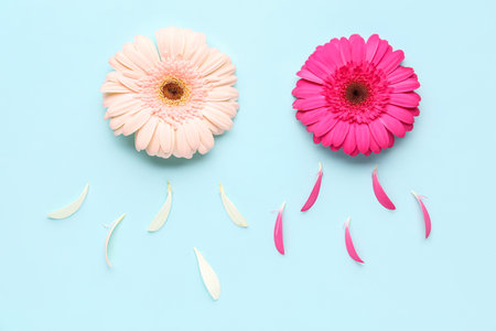 Beautiful gerbera flowers and petals on blue backgroundの写真素材