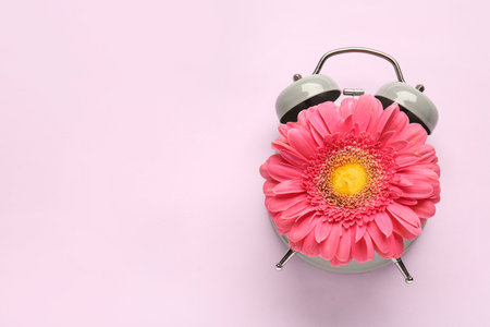 Alarm clock with beautiful gerbera flower on pink backgroundの写真素材