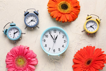 Alarm clocks and beautiful gerbera flowers on beige grunge backgroundの写真素材