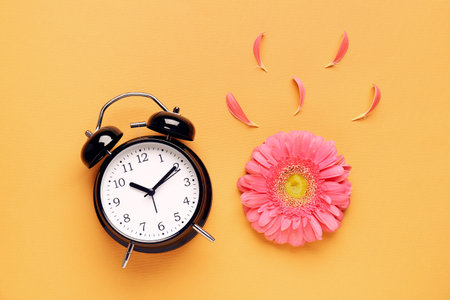Composition with alarm clock, petals and beautiful gerbera flower on orange backgroundの写真素材