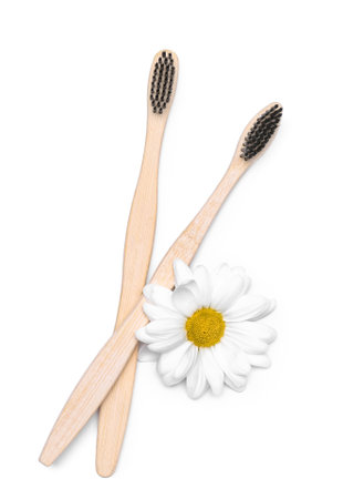 Toothbrushes and chamomile flowers on white backgroundの写真素材