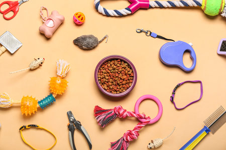 Different pet care accessories and bowl of dry food on color backgroundの写真素材