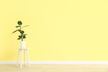 Table with houseplant near color wallの写真素材