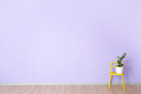 Chair with plant near color wall in roomの写真素材